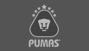 Diseño sin título (3)